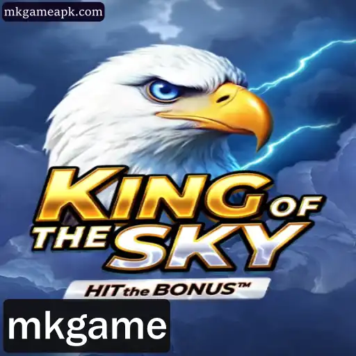 KingOfTheSky: Um Mergulho no Universo dos Jogos Aéreos